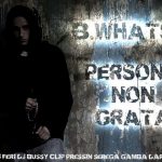 Persona Non Grata